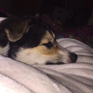 Meet your Posher, Faith